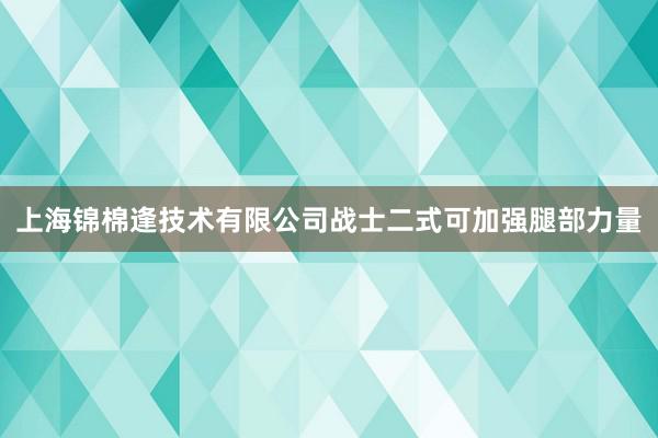 上海锦棉逢技术有限公司战士二式可加强腿部力量