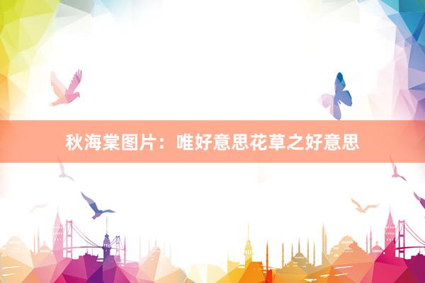 秋海棠图片：唯好意思花草之好意思
