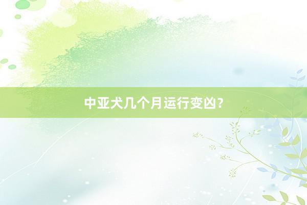 中亚犬几个月运行变凶？