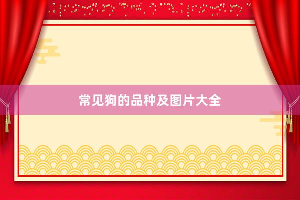 常见狗的品种及图片大全
