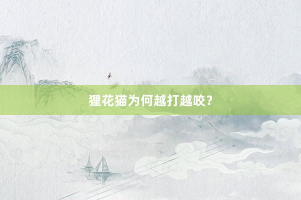 狸花猫为何越打越咬？